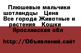 Плюшевые мальчики шотландцы › Цена ­ 500 - Все города Животные и растения » Кошки   . Ярославская обл.